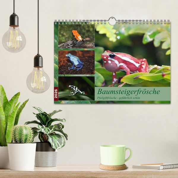 Produktbild: Baumsteigerfr&ouml;sche. Pfeilgiftfr&ouml;sche - gef&auml;hrlich sch&ouml;n (Wandkalender 2026 DIN A4 quer), CALVENDO Monatskalender