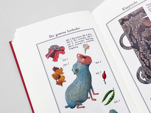 Produktbild: Die Nixen von Estland