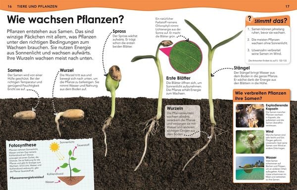 Produktbild: Weshalb? Deshalb! Natur und Technik