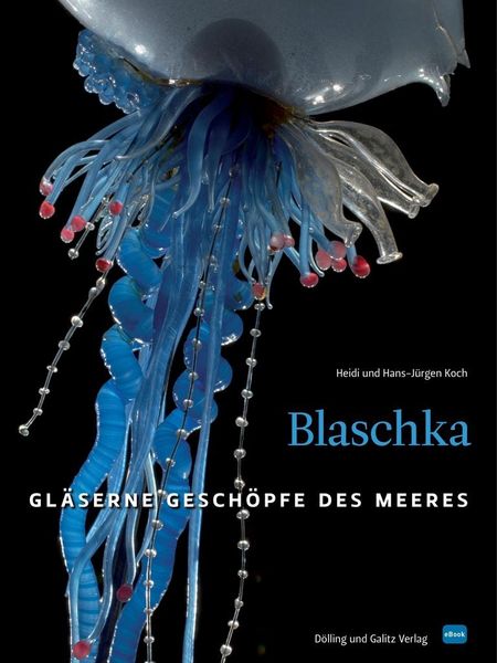 Produktbild: Blaschka (HD-Version)