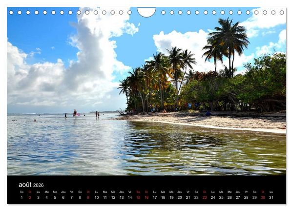 Produktbild: Paysages de Guadeloupe (Calendrier mural 2026 DIN A4 vertical), CALVENDO calendrier mensuel