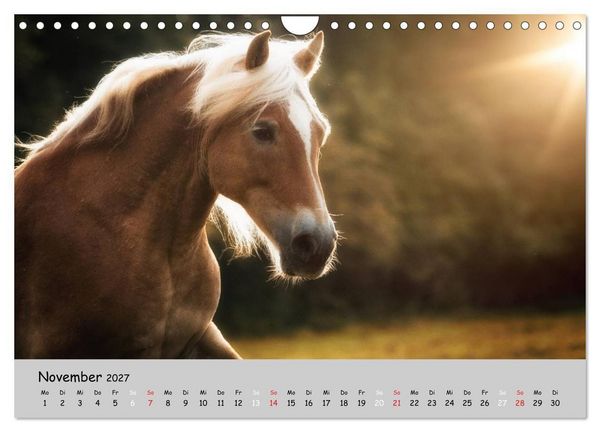 Produktbild: Pferde - Anmut und St&auml;rke gepaart mit Magie (Wandkalender 2027 DIN A4 quer), CALVENDO Monatskalender