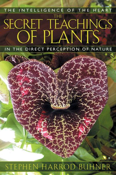 Produktbild: The Secret Teachings of Plants