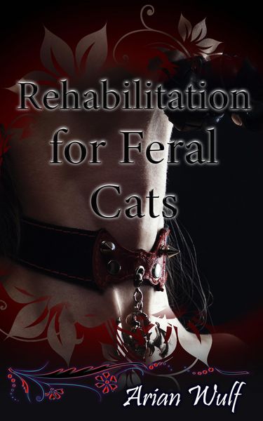 Produktbild: Rehabilitation for Feral Cats (Supernatural Romance)