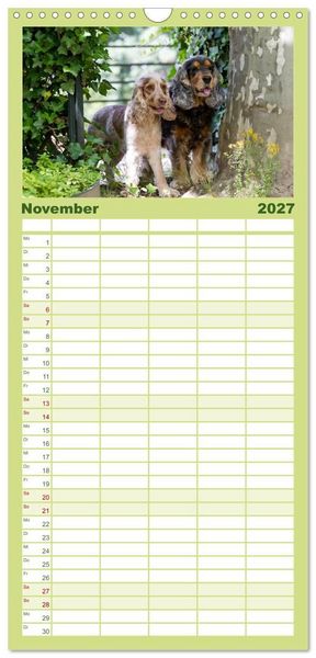 Produktbild: Familienplaner 2027 - English Cocker Spaniel - Fr&ouml;hliche Gesellen mit 5 Spalten (Wandkalender, 21 x 45 cm) CALVENDO