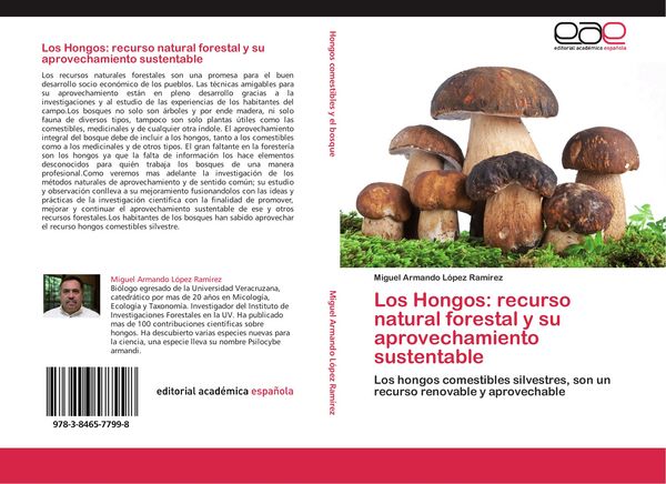Produktbild: Los Hongos: recurso natural forestal y su aprovechamiento sustentable