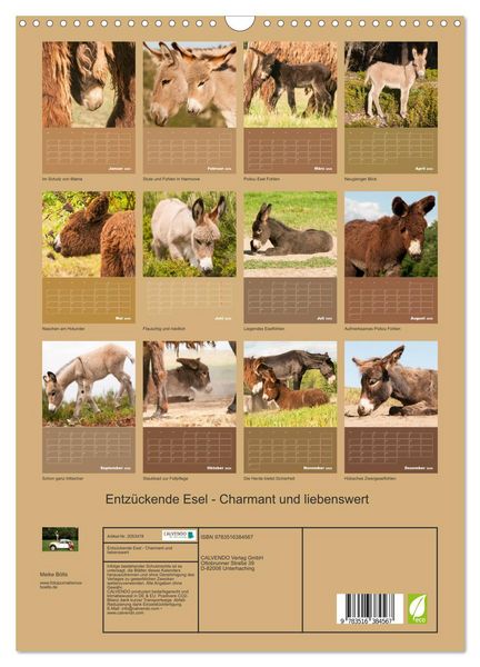 Produktbild: Entz&uuml;ckende Esel - Charmant und liebenswert (Wandkalender 2026 DIN A3 hoch), CALVENDO Monatskalender
