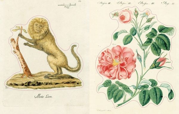 Produktbild: John Derian Sticker Book II