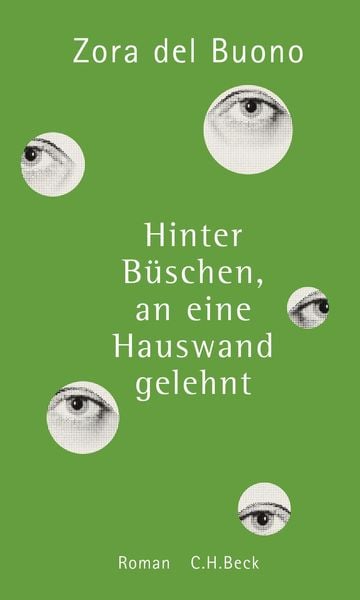 Produktbild: Hinter B&uuml;schen, an eine Hauswand gelehnt