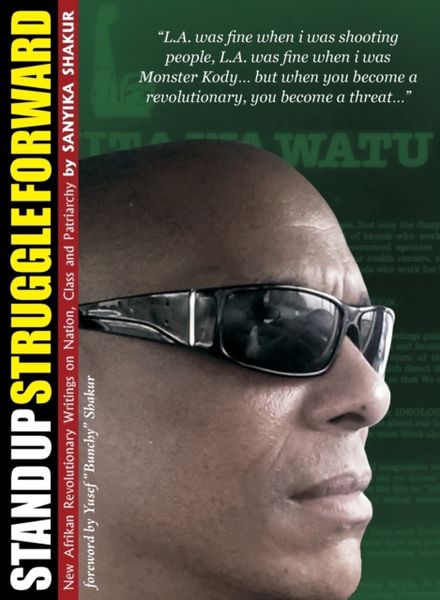 Produktbild: Stand Up, Struggle Forward: New Afrikan Revolutionary Writings on Nation, Class and Patriarchy