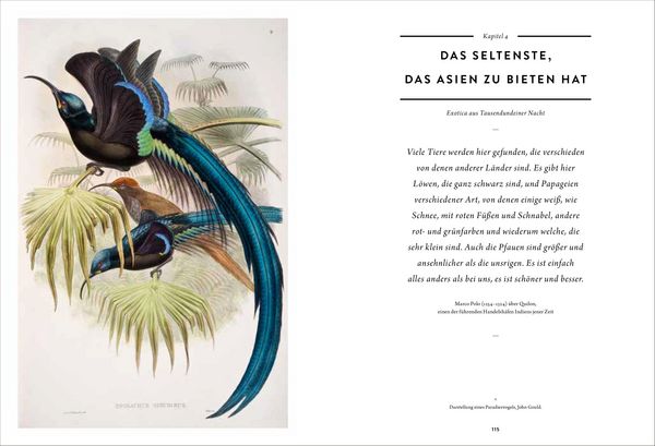Produktbild: Wunderkammer