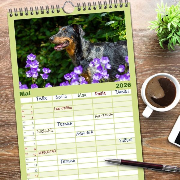 Produktbild: Familienplaner 2026 - Der Beauceron mit 5 Spalten (Wandkalender, 21 x 45 cm) CALVENDO