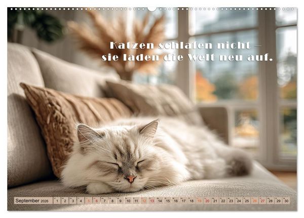 Produktbild: Miau-velous Pfotenpoesie (hochwertiger Premium Wandkalender 2026 DIN A2 quer), Kunstdruck in Hochglanz