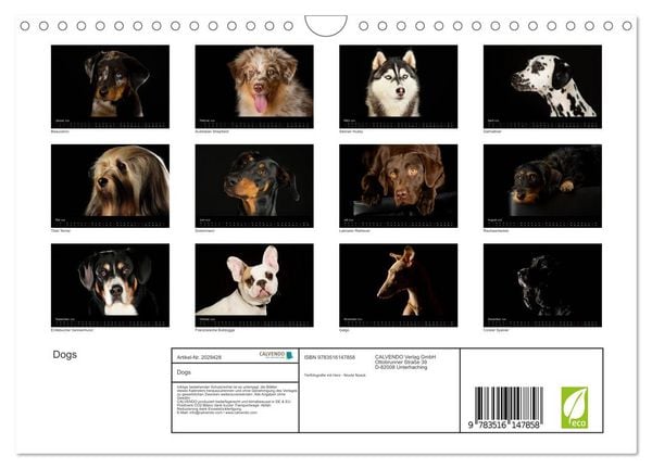 Produktbild: Dogs (Wandkalender 2026 DIN A4 quer), CALVENDO Monatskalender