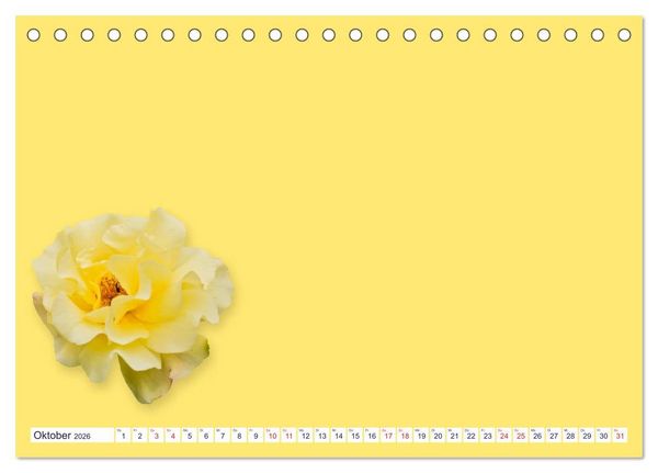 Produktbild: DIY POESIE - BASTELKALENDER (Tischkalender 2026 DIN A5 quer), CALVENDO Monatskalender