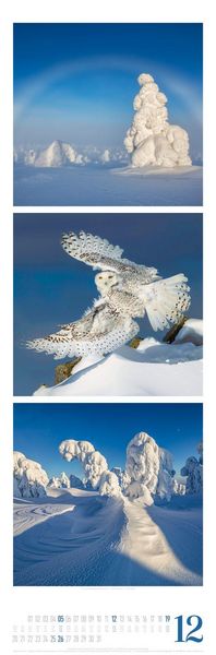 Produktbild: Nature Triplet-Kalender 2027