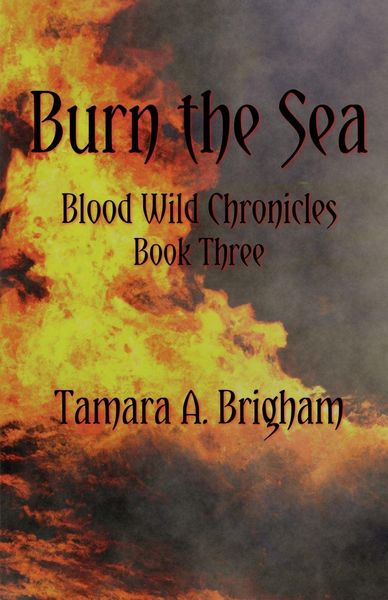 Produktbild: Burn the Sea