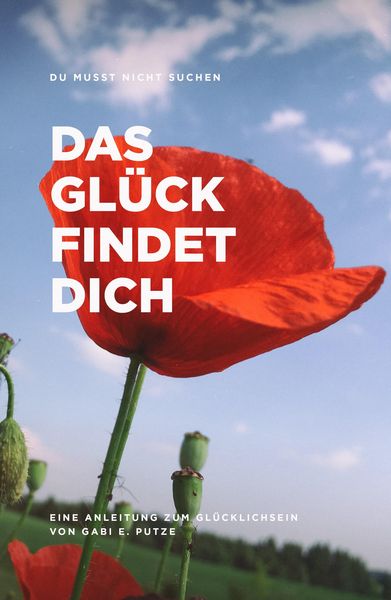 Produktbild: Du Musst Nicht Suchen das Gl&uuml;ck Findet Dich