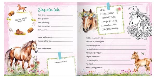 Produktbild: Meine Schulfreunde