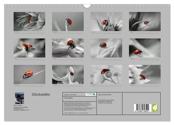 Produktbild: Gl&uuml;cksk&auml;fer (Wandkalender 2027 DIN A3 quer), CALVENDO Monatskalender