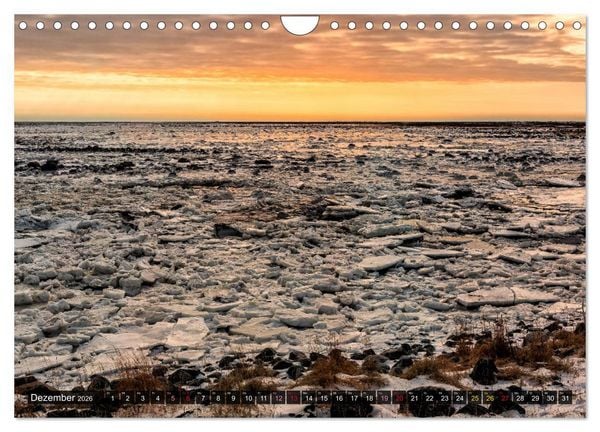Produktbild: AN DER HUDSON BAY (Wandkalender 2026 DIN A4 quer), CALVENDO Monatskalender