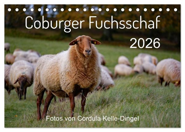 Produktbild: Coburger Fuchsschaf (Tischkalender 2026 DIN A5 quer), CALVENDO Monatskalender