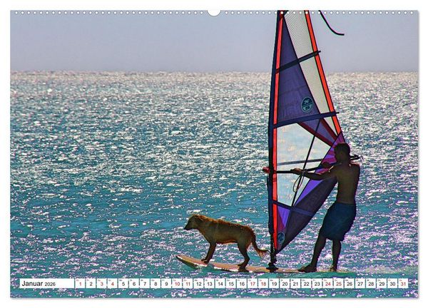 Produktbild: Funsport Windsurfen (hochwertiger Premium Wandkalender 2026 DIN A2 quer), Kunstdruck in Hochglanz