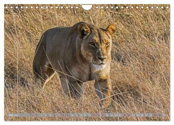 Produktbild: Unbekanntes Paradies Sambia (Wandkalender 2027 DIN A4 quer), CALVENDO Monatskalender