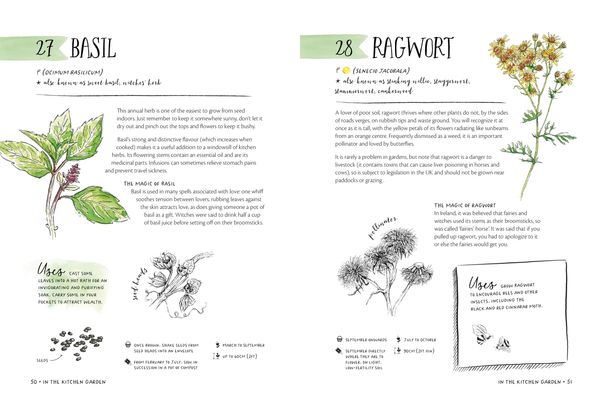 Produktbild: The Magic of Seeds