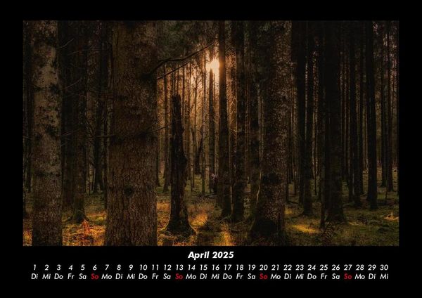 Produktbild: Waldzauber 2025 Fotokalender DIN A3