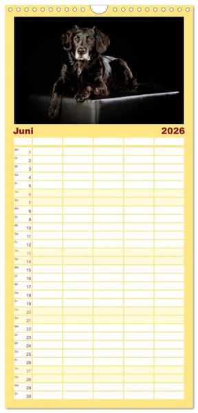 Produktbild: Familienplaner 2026 - Bunte Pfoten mit 5 Spalten (Wandkalender, 21 x 45 cm) CALVENDO