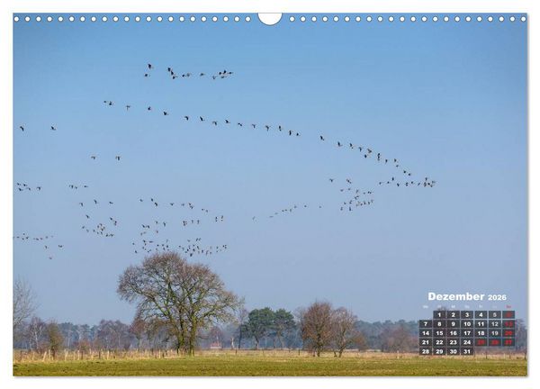 Produktbild: Die Dingdener Heide im Wandel der Jahreszeiten (Wandkalender 2026 DIN A3 quer), CALVENDO Monatskalender