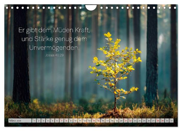 Produktbild: Psalmen und Bibelverse - Himmlische Botschaften (Wandkalender 2026 DIN A4 quer), CALVENDO Monatskalender