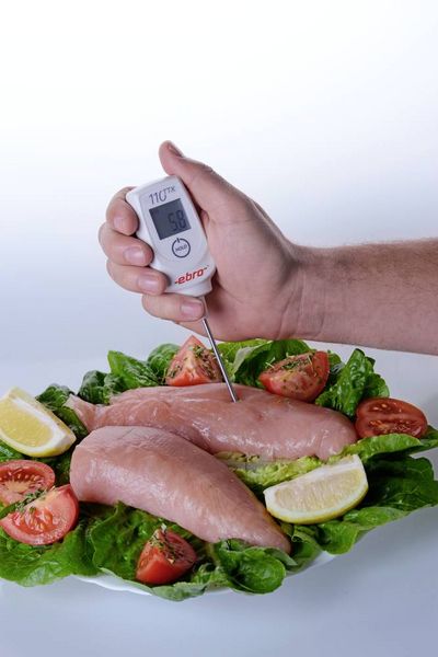 Produktbild: ebro TTX 110 Einstichthermometer (HACCP) Messbereich Temperatur -50 bis 350 &deg;C F&uuml;hler-Typ T HACCP-konform