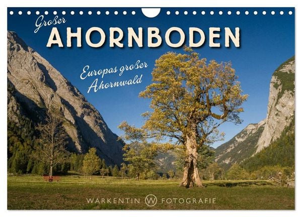 Produktbild: Gro&szlig;er Ahornboden - Europas gro&szlig;er Ahornwald (Wandkalender 2026 DIN A4 quer), CALVENDO Monatskalender