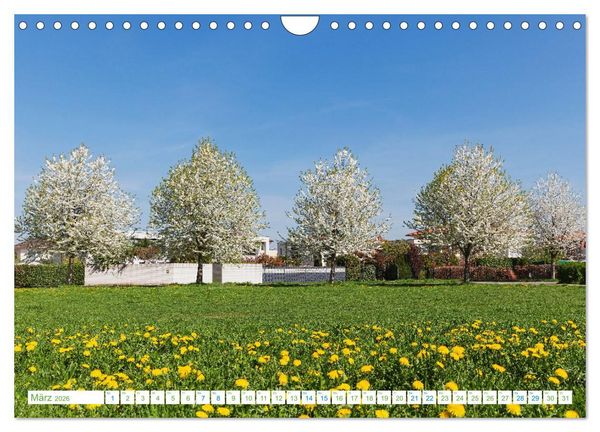 Produktbild: K&ouml;ln Widdersdorf - Bl&uuml;tentr&auml;ume und l&auml;ndliche Idylle (Wandkalender 2026 DIN A4 quer), CALVENDO Monatskalender