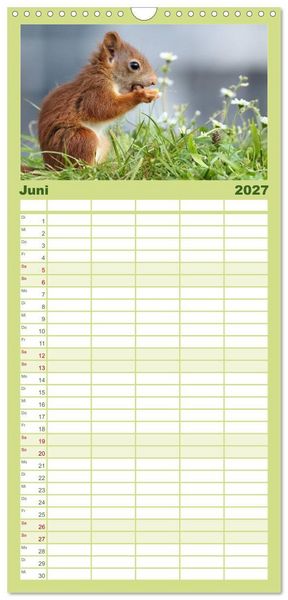 Produktbild: Familienplaner 2027 - Eichh&ouml;rnchen Momentaufnahmen f&uuml;rs Herz mit 5 Spalten (Wandkalender, 21 x 45 cm) CALVENDO