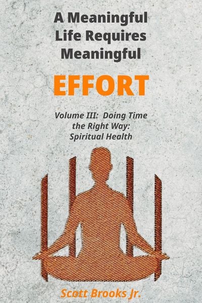Produktbild: A Meaningful Life Requires Meaningful Effort (Doing Time the Right Way, #3)