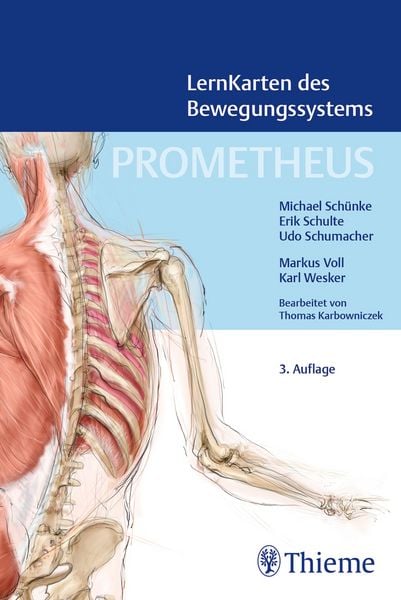 PROMETHEUS LernKarten des Bewegungssystems, Sonstige von Michael Schünke,Erik Schulte,Udo Schumacher, Thieme, 978-3-13-245785-0