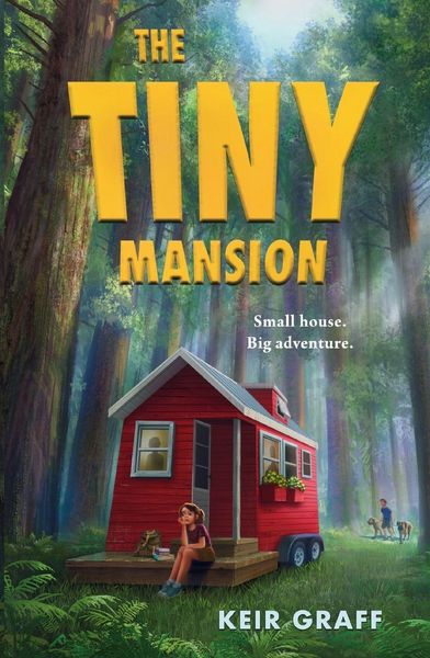 Produktbild: The Tiny Mansion