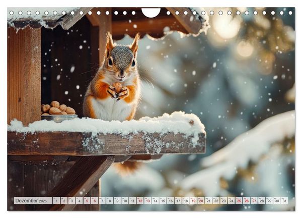 Produktbild: EICHH&Ouml;RNCHEN Niedliche kleine Wesen (Wandkalender 2026 DIN A4 quer), CALVENDO Monatskalender