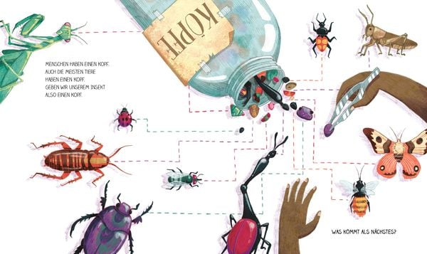 Produktbild: Komm, wir entdecken ein Insekt! Den Krabbeltieren auf der Spur