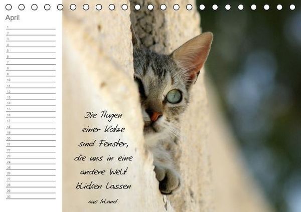 Produktbild: LEBENSGL&Uuml;CK (Tischkalender immerw&auml;hrend DIN A5 quer)