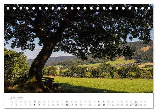 Produktbild: Wundersch&ouml;ne B&auml;ume im Sauerland (Tischkalender 2026 DIN A5 quer), CALVENDO Monatskalender