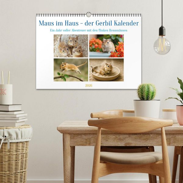Produktbild: Maus im Haus - der Gerbil Kalender (Wandkalender 2026 DIN A3 quer), CALVENDO Monatskalender