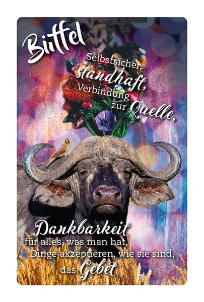 Produktbild: Krafttier-Orakelkarten