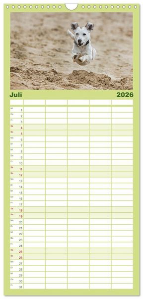 Produktbild: Familienplaner 2026 - Hunde Action mit 5 Spalten (Wandkalender, 21 x 45 cm) CALVENDO