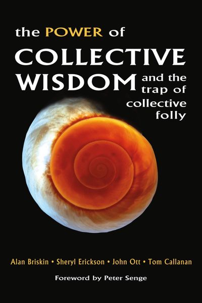 Produktbild: Briskin, A: Power of Collective Wisdom