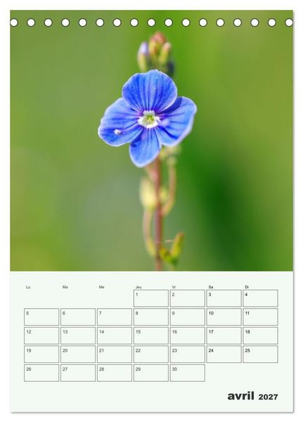 Produktbild: Fleurs en toute simplicit&eacute; - Beaut&eacute; minimaliste (Calendrier de bureau 2027 DIN A5 horizontal), CALVENDO calendrier mensuel