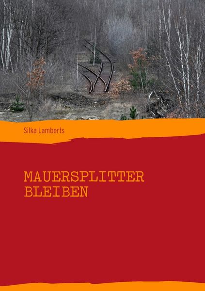 Produktbild: Mauersplitter bleiben